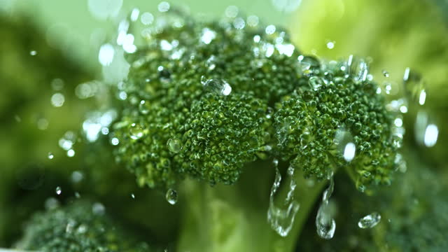 SLO MO LD Water falling onto a broccoli floret