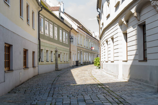 istock Oldtown street in steyr 1299253936