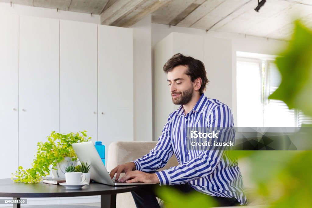 Man working in the eco-friendly green office Mid adult men wearing striped shirt sitting on sofa in the creative workplace and using laptop. Men Stock Photo
