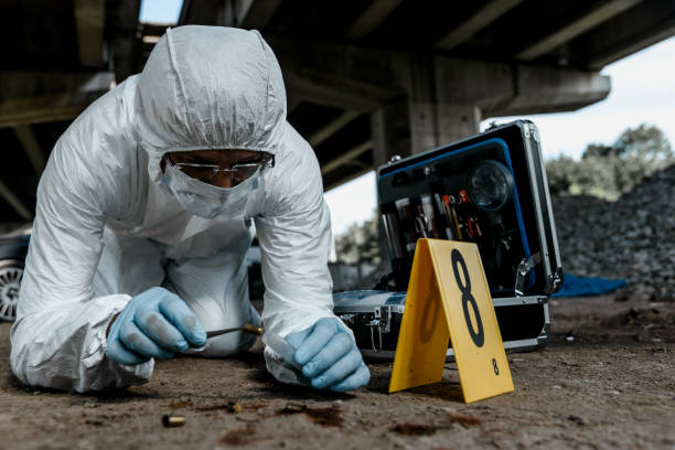 forensic scientist at work - cena do crime imagens e fotografias de stock