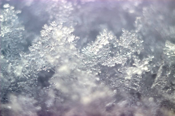 istock selective focus of snowflakes macro with blurred background 1299257932