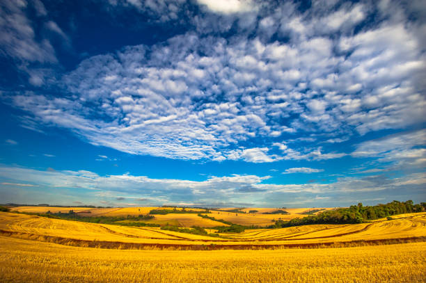 rural landscape. contryside, beautiful farm