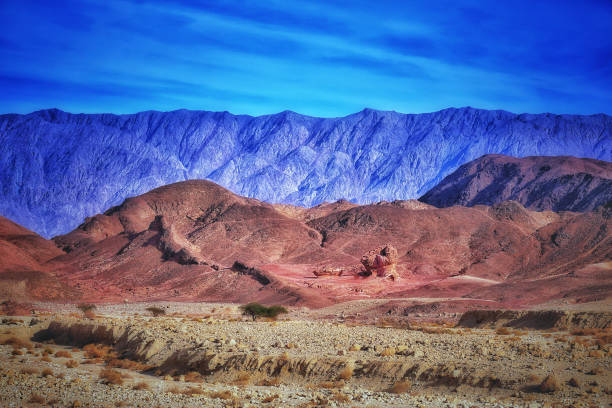 National Park Timna . Desert Negev.