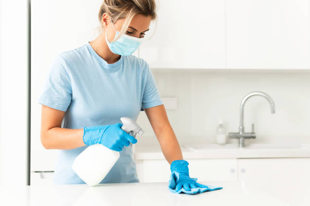 Woman worker wearing prevention mask and gloves during apartment cleaning Young woman worker wearing prevention mask and gloves during apartment cleaning antiseptic stock pictures, royalty-free photos & images