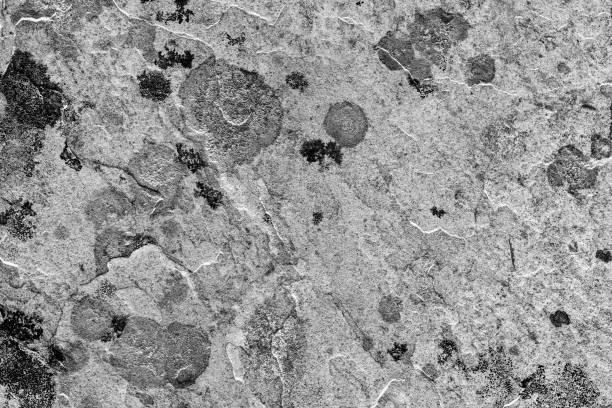 istock Stone wall grunge style textured close up background 1299259277