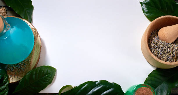 istock ingredients for making a potion. leaves, flowers, bottles. close-up, macro 1299259455
