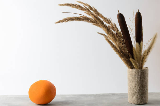 an orange on a textured gray table against a white wall with an autumn bouquet of dried herbs and reeds. - orange wall imagens e fotografias de stock