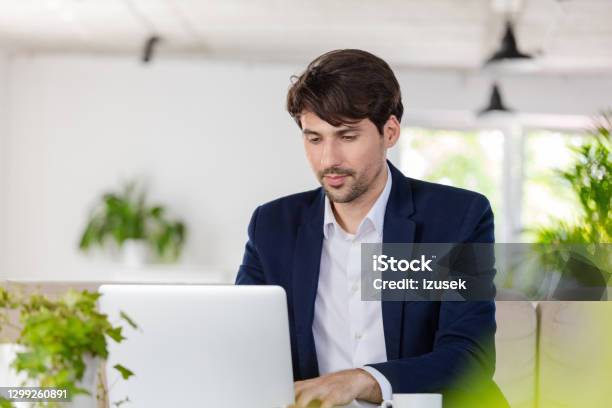Businessman Working On Laptop In The Green Office Stock Photo - Download Image Now - Business, Front View, Home Office