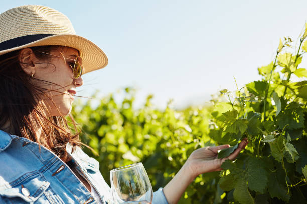 istock So this is where the grapes are grown 1299267086
