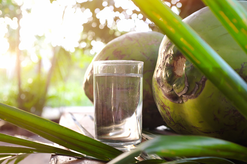 Selective focus of fresh coconut water juice drink in glass with green young coconuts.