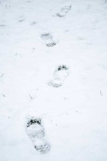 istock Footsteps in snow, winter composition, snow falling, frozen nature, winter time background with copy space 1299273228