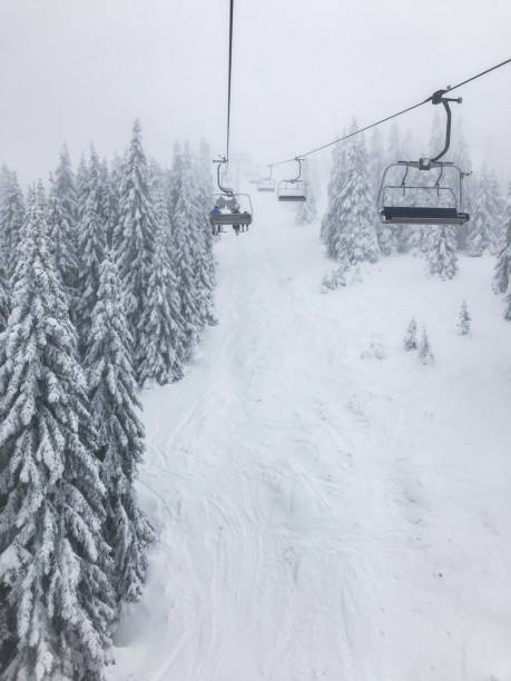 istock Mountain fir trees covered with snow, view from 