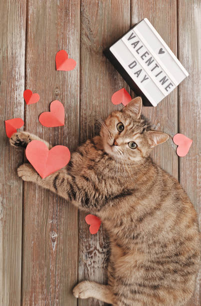 istock Cute cat with paper hearts on wooden background 1299277611