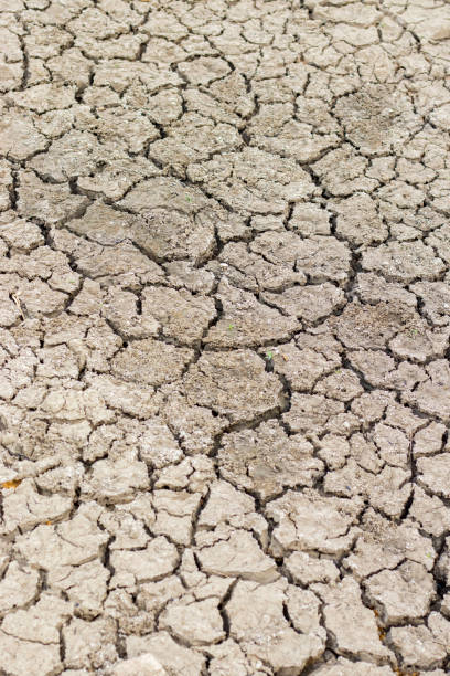 istock Cracked soil due to no rainfall and dry climate or drought. 1299278925