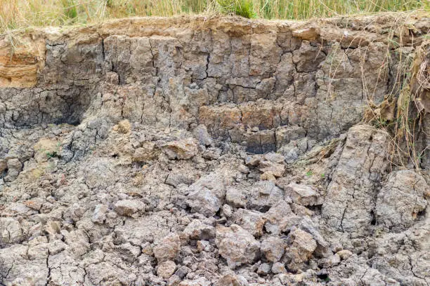 Photo of silt soil is a high fertility soil for agriculture, Silt is granular material of a size between sand and clay.