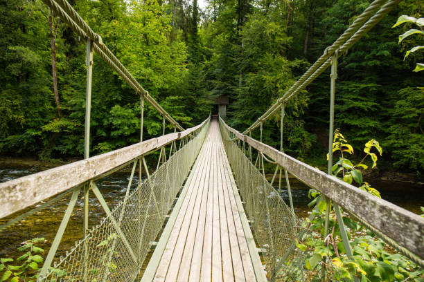 istock Hanging bridge over the Argen near Flunau 1299279696