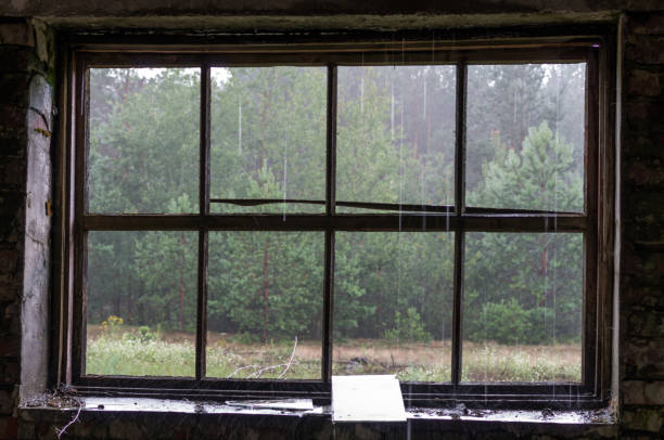 Checked window frame. View of the forest through a window without glass. Rain.