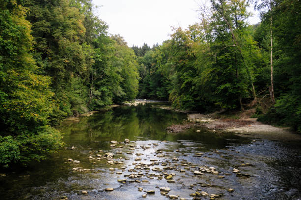 istock Hanging bridge over the Argen near Flunau 1299279800