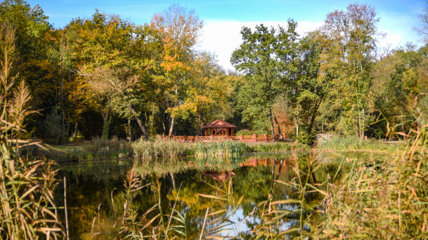 istock A pond in thickets, with a wooden gazebo in the background. 1299280478