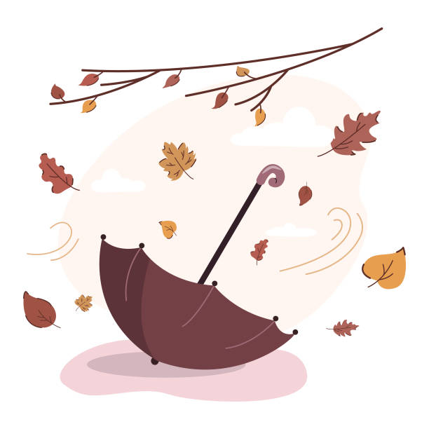 ilustraciones, imágenes clip art, dibujos animados e iconos de stock de paraguas se encuentra en el suelo mientras el viento sopla diferentes hojas de la rama. - september wind november chestnut