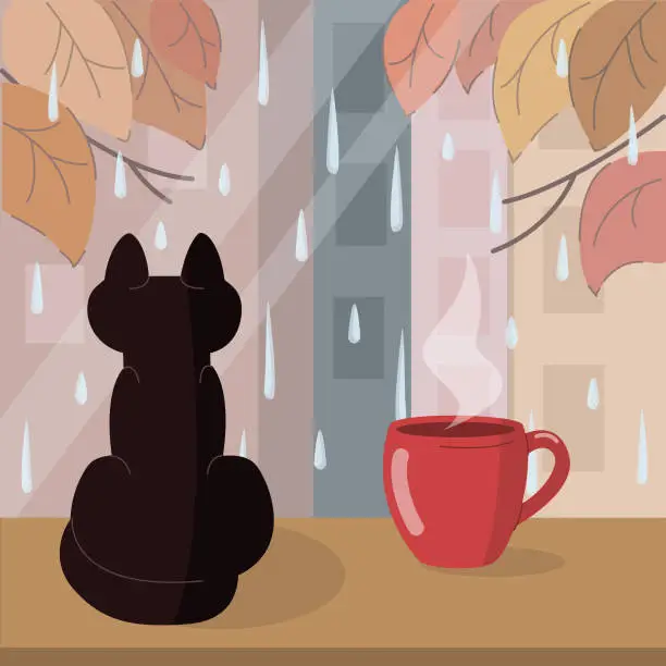 Vector illustration of Black cat sits on the windowsill next to a hot cup of coffee/tea and looks at the rain outside the window.