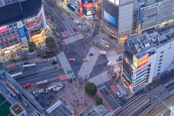 istock Scramble crossing in Shibuya Ward, Tokyo. 1299281677
