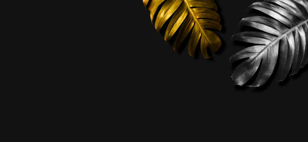 istock Gold and silver tropical leaves on black background with copy space 1299282642