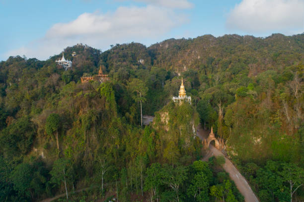 istock Trees in the forest, aerial view above 1299284278
