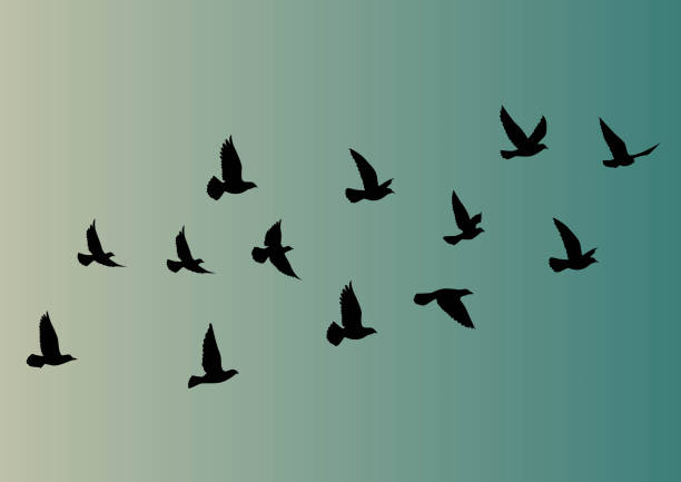 ilustrações de stock, clip art, desenhos animados e ícones de flying birds silhouettes on gradient background. vector illustration. isolated bird flying. tattoo design. wallpaper template. - bird of prey