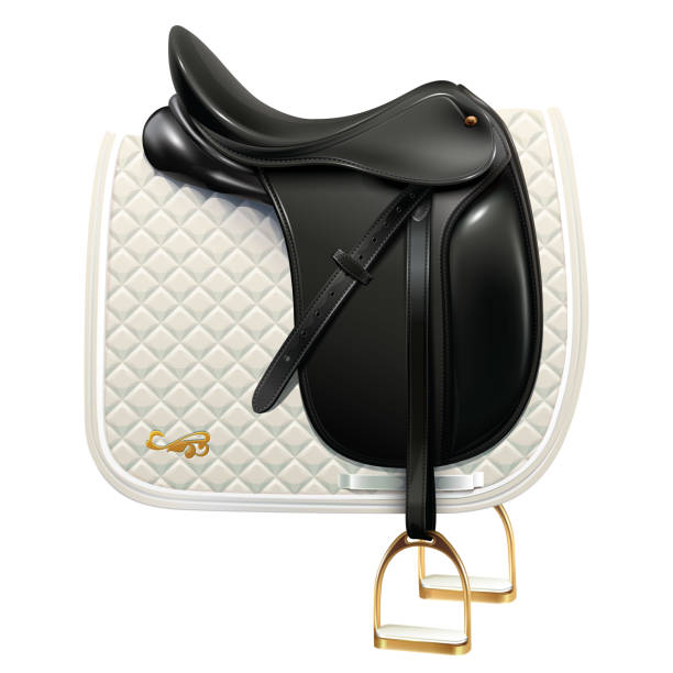 Dressage saddle with white saddle pad Black leather dressage saddle with white saddle pad isolated on white background saddle stock illustrations