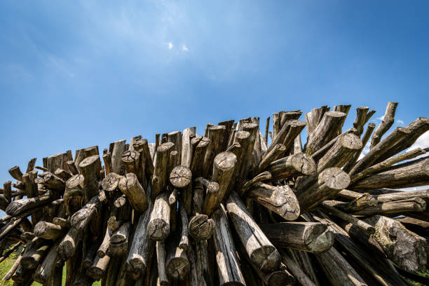 Closeup of firewood on clear blue sky with copy space, photography, full frame.