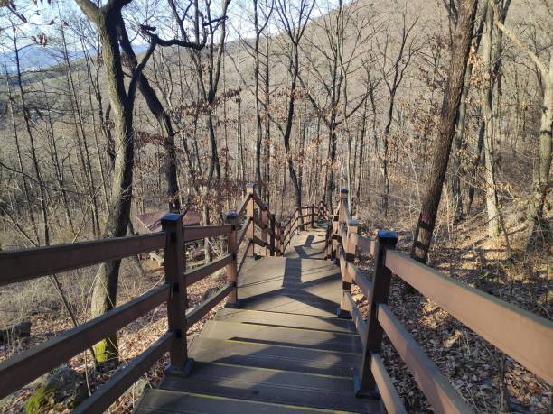 istock the steps of a mountain trail 1299287006