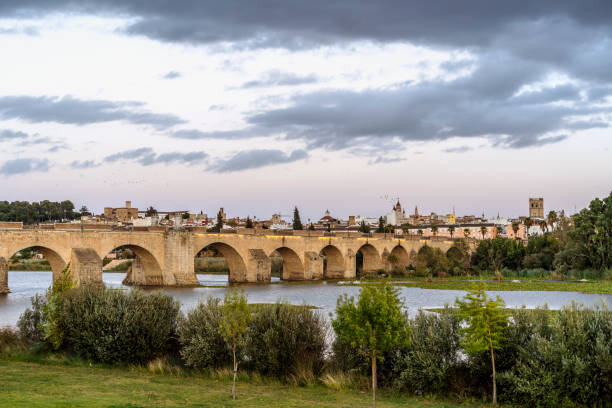 istock Medieval Palmas Bridge over Guadiana River in Badajoz, Spain 1299288496