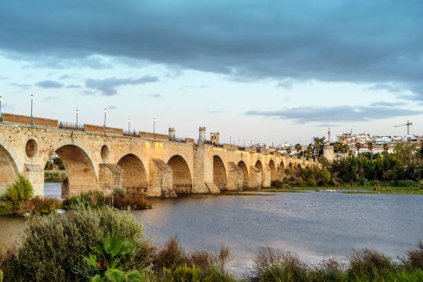 istock Medieval Palmas Bridge over Guadiana River in Badajoz, Spain 1299288498
