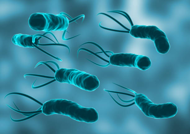 Helicobacter Pylori in the microscopic environment. is a bacterium that colonizes the lining of the human stomach. 3D rendering