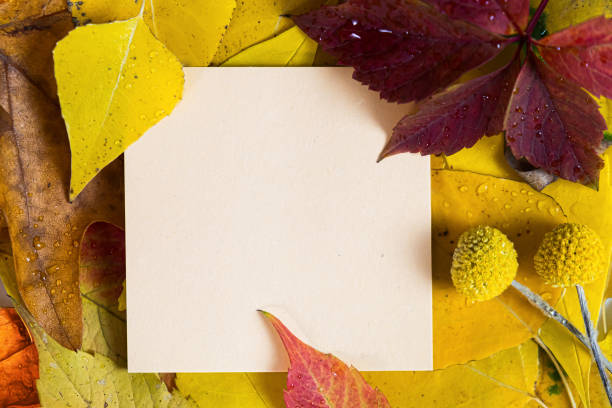 istock Autumn frame. Autumn frame decorated with fallen leaves on a wooden background. 1299291625