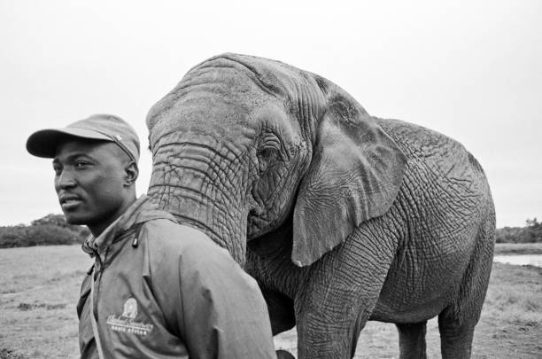 Face to face. Young traveler with friendly elephant in tropical rainforest in Chiang Mai Province, Thailand.