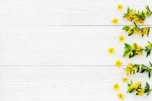 istock Pattern of yellow flower buds, overhead view 1299296574