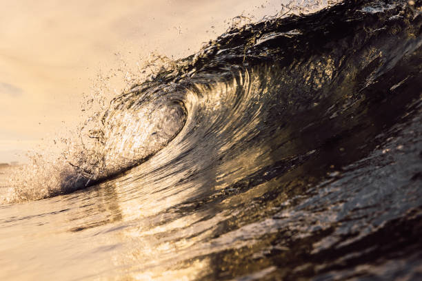 istock Glassy wave at sunrise. Breaking ocean wave with warm colors, swell for surfing 1299297901