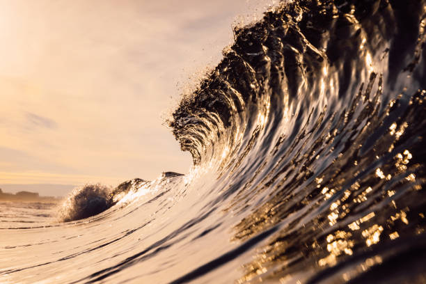 istock Glassy wave at sunrise. Breaking ocean wave with warm colors, swell for surfing 1299297903
