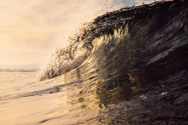 istock Glassy wave at sunrise. Breaking ocean wave with warm colors, swell for surfing 1299297908