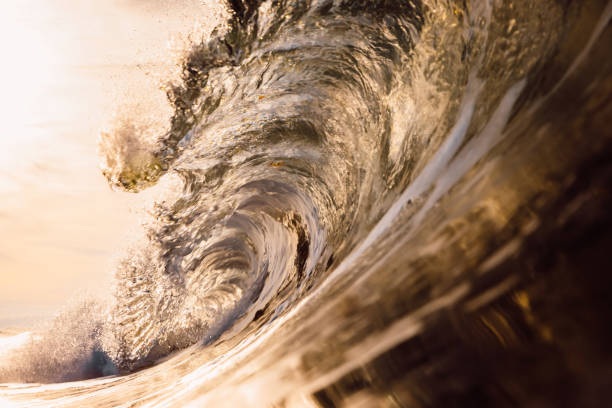 istock Glassy wave at sunrise. Breaking ocean wave with warm colors, swell for surfing 1299297911