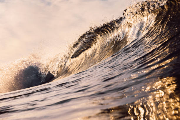 istock Glassy wave at sunrise. Breaking ocean wave with warm colors, swell for surfing 1299297921