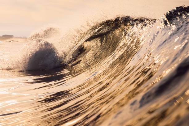 istock Glassy wave at sunrise. Breaking ocean wave with warm colors, swell for surfing 1299297929