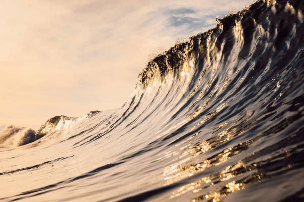 istock Glassy wave at sunrise. Breaking ocean wave with warm colors, swell for surfing 1299297954
