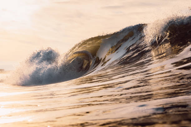 istock Glassy wave at sunrise. Breaking ocean wave with warm colors, swell for surfing 1299297955