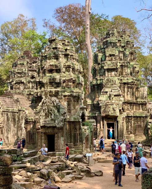 moos bedeckt lotus bud geformte türme im ta prohm tempel in angkor, kambodscha - tomb raider stock-fotos und bilder