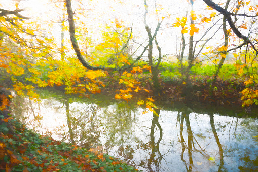 Soft selective focus on orange and yellow oak leaves over water on rainy autumn day. Fall cozy mood composition