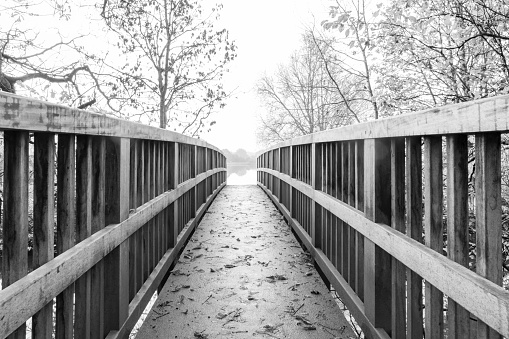 Foot bridge in the mist at sunrise. Hinchingbrooke Park, Huntingdon, Cambridgeshire, England, UK.