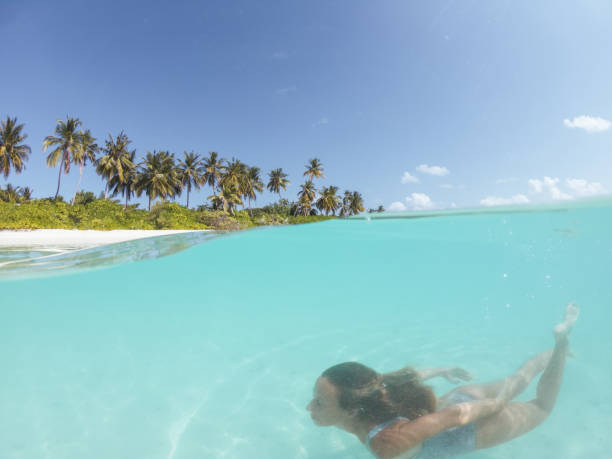 istock Woman dives in tropical sea, split screen underwater shot 1299299348